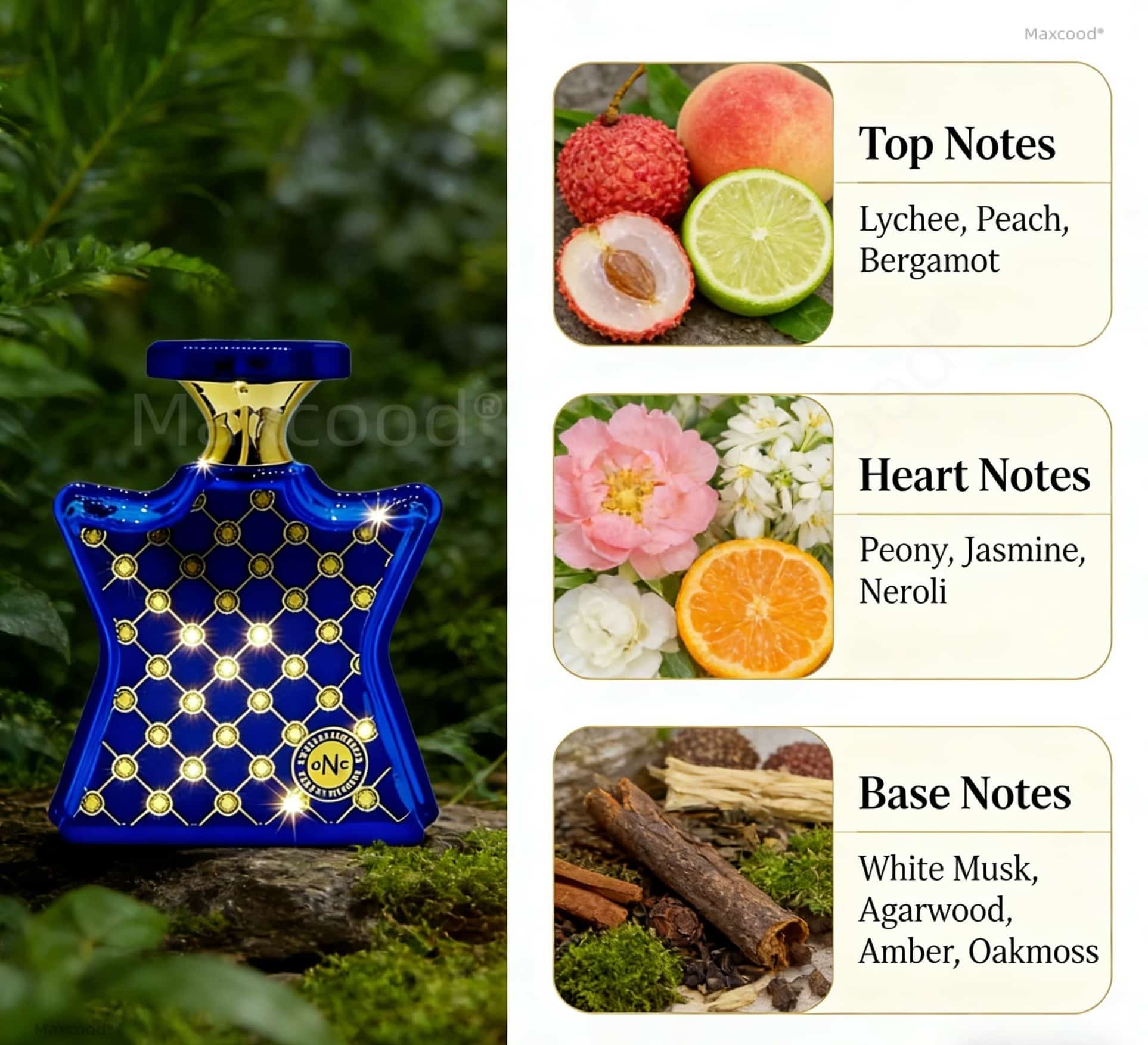Narenciye ve Çiçeksi Parfüm Uz - Perfume Luxury Fragrance incelemesi ve fiyatı