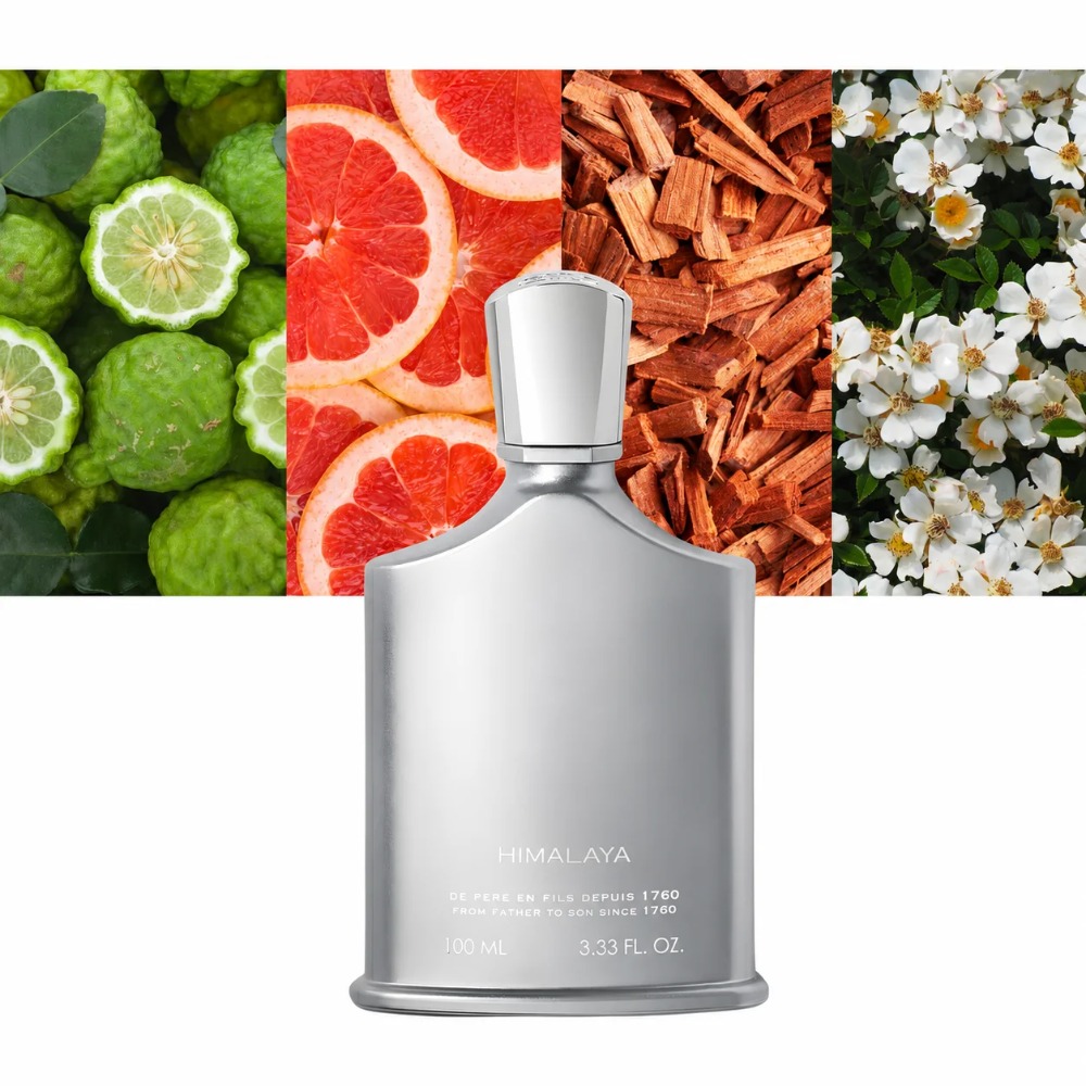 Aventus Erkek Parfümü 100ml ED - Perfume Luxury Fragrance incelemesi ve fiyatı