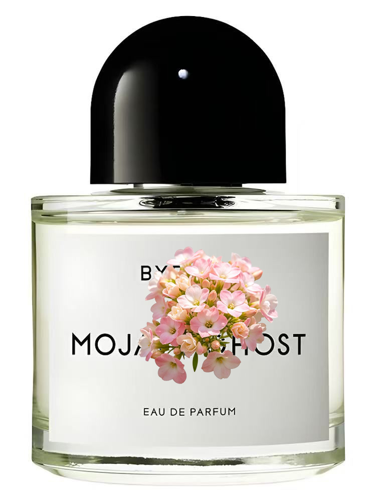 MOJAVE STOKTA YOK Unisex Eau d - Perfume Luxury Fragrance incelemesi ve fiyatı